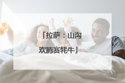 拉萨：山沟欢腾赛牦牛
